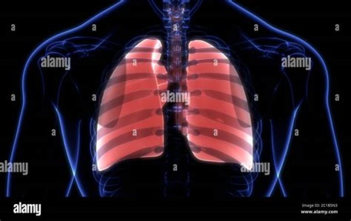 Alan Napier - Bio, Age, height, Wiki, Facts and Family