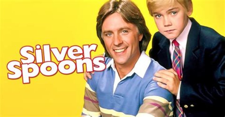 Dad On Silver Spoons: A Rich Kid's Journey