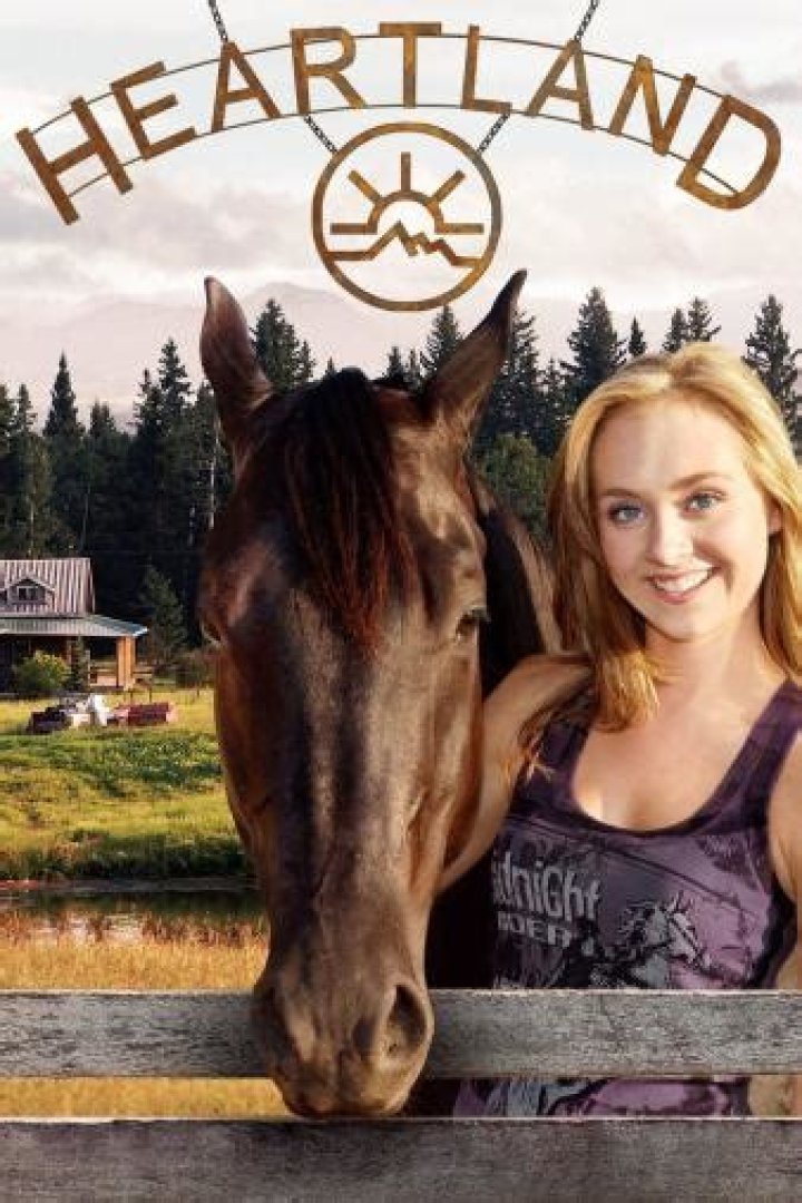Essential Guide To Heartland Common Sense Media