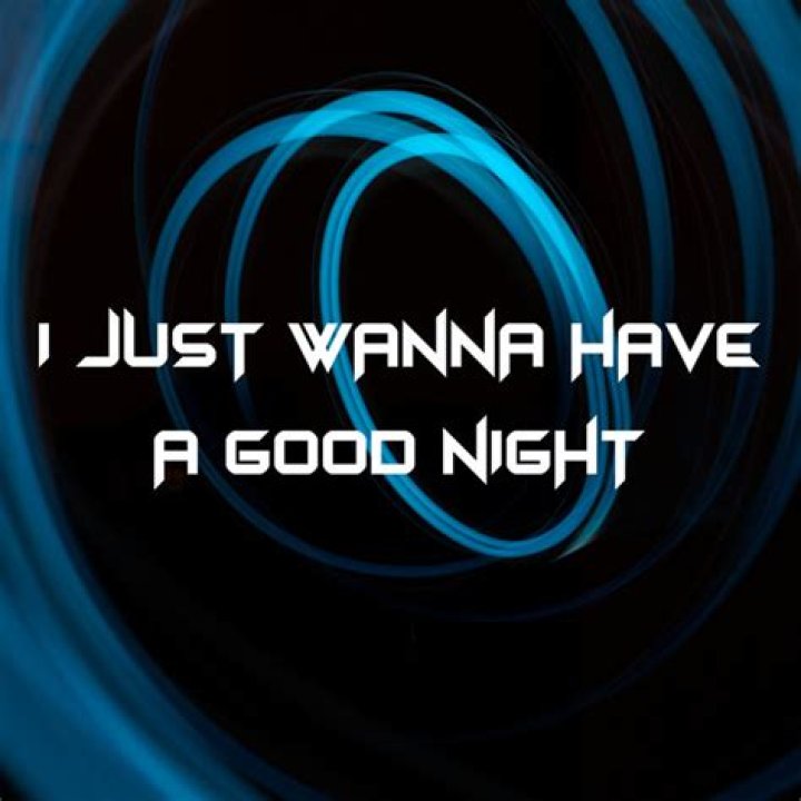 I Just Wanna Have A Good Night Song