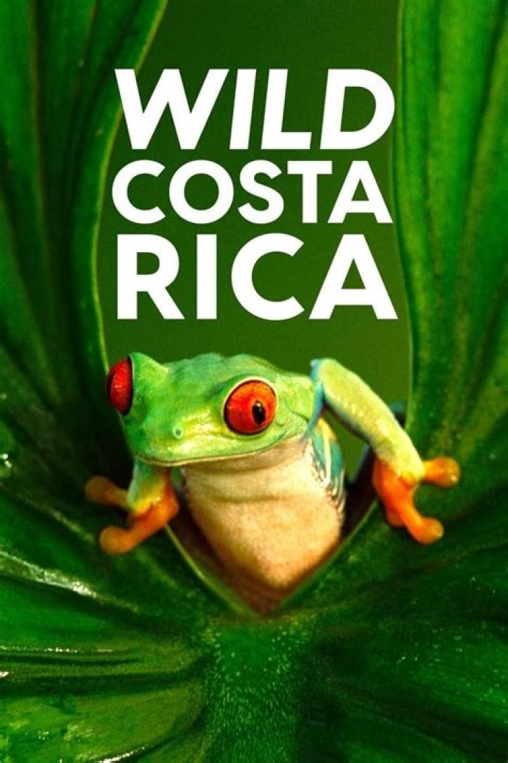 The Ultimate Guide To Finding Love In The Wilds Of Costa Rica