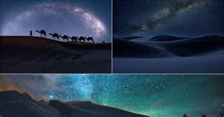 Practical experience the Magic of an Night Desert Safari less than The celebs in Dubai