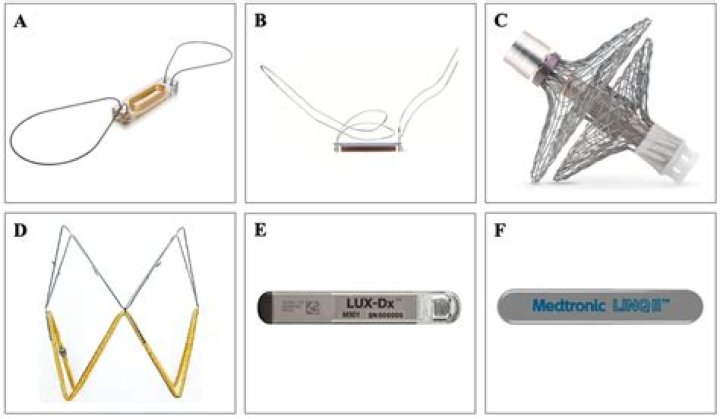 What Sets It Apart from Other Cryptocurrencies?